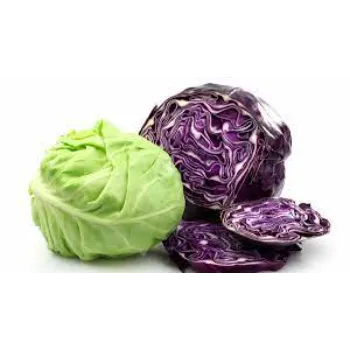 Fresh Cabbage